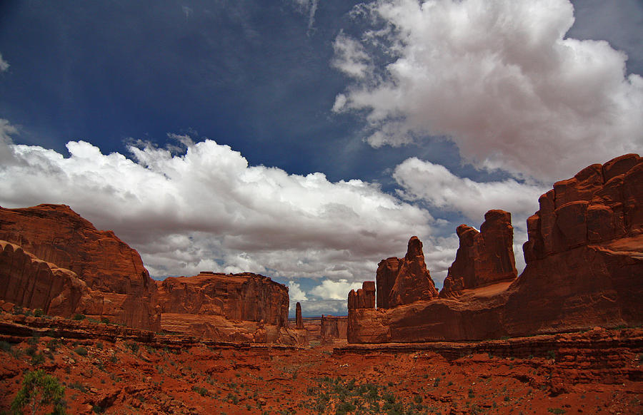 Fifth Avenue in Arches National Park Photograph by Jean Clark