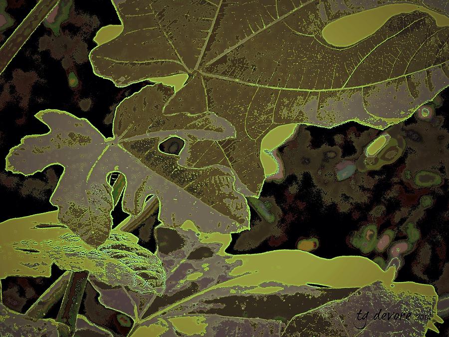 Fig Leaf Fall Digital Art by Tg Devore