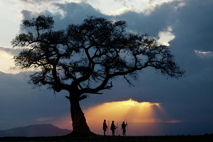 Fig Tree And Three Masai Men Silhouetted Photograph by Adam Jones