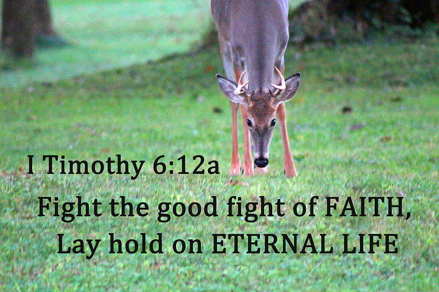 Fight of Faith Photograph by Lorna Rose Marie Mills DBA  Lorna Rogers Photography