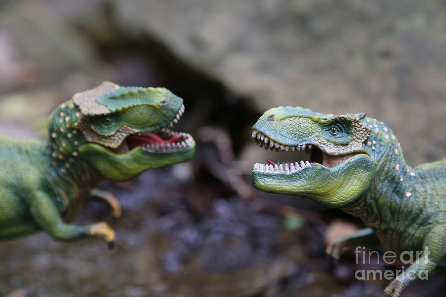Jurassic Park Photograph - Fight to the death by Dwight Cook