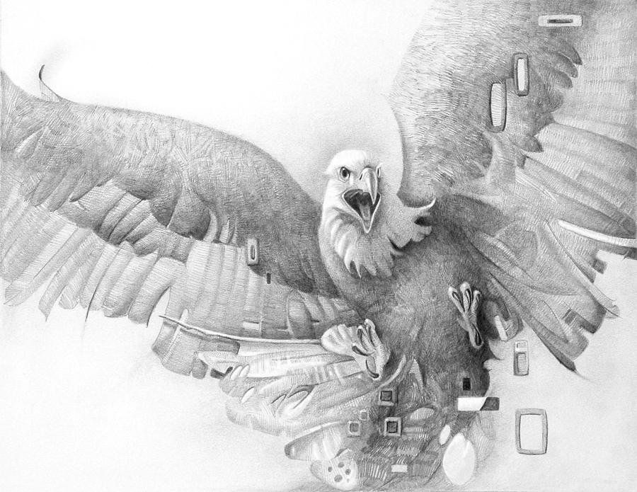 Fighting Eagle Drawing by T S Carson