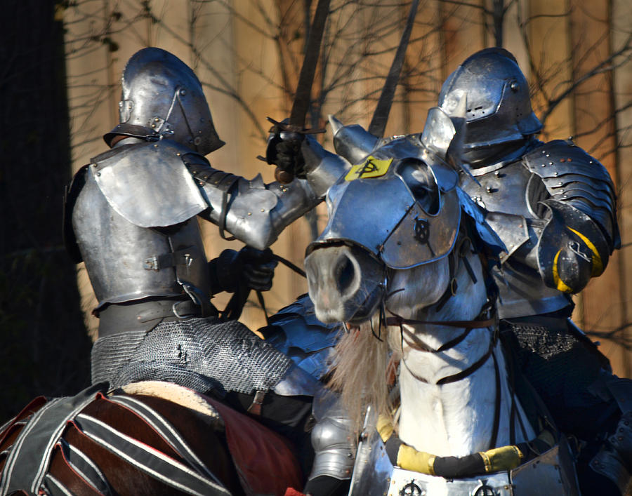 Fighting Knights Photograph by Maggy Marsh