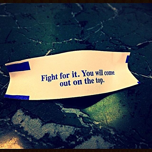 Instagram Photograph - Fight
#instagram by SpYdR B