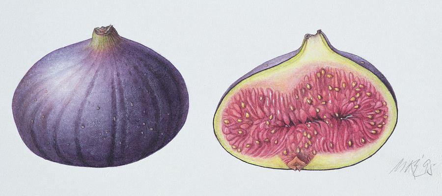 Still Life Painting - Figs by Margaret Ann Eden