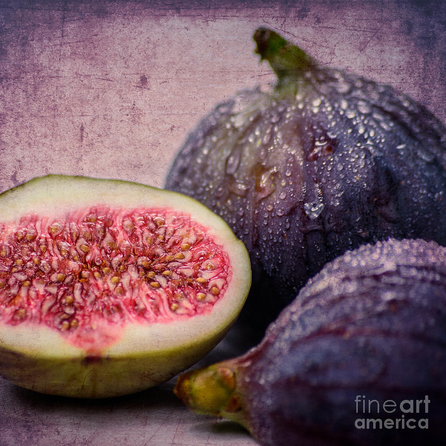 Nature Photograph - Figs 1x1 by Hannes Cmarits
