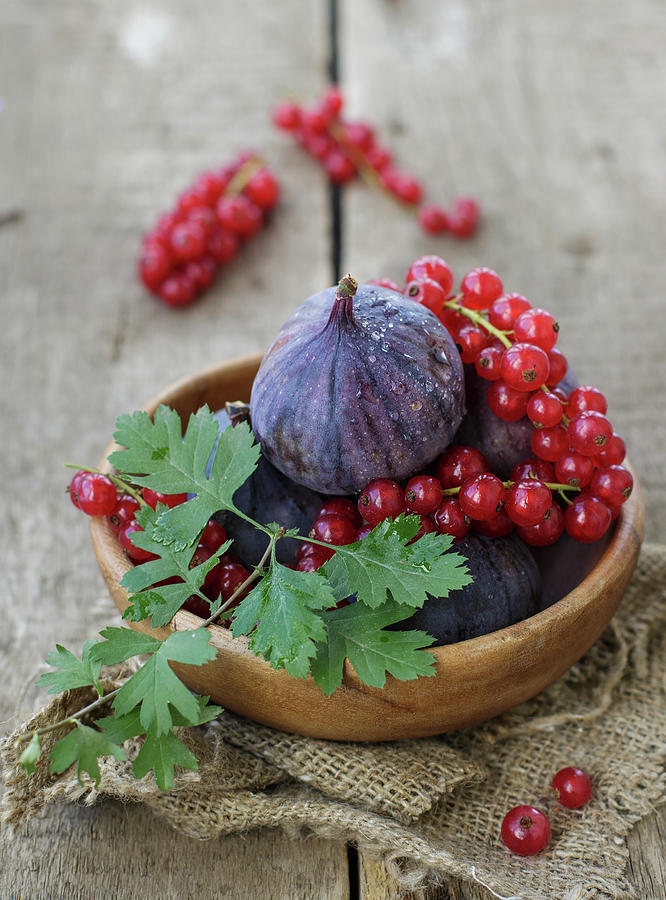 Figs And Red Currant Photograph by Julia Khusainova