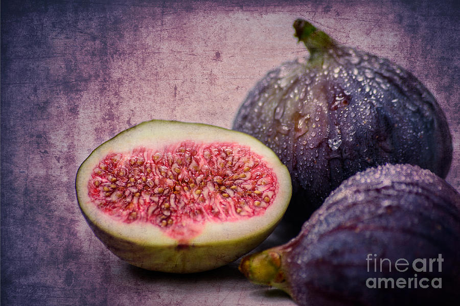 Figs Photograph by Hannes Cmarits
