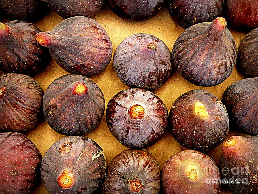 Figs Photograph by Lainie Wrightson