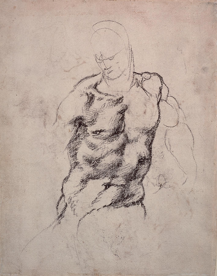 Figure Study Drawing by Michelangelo Buonarroti