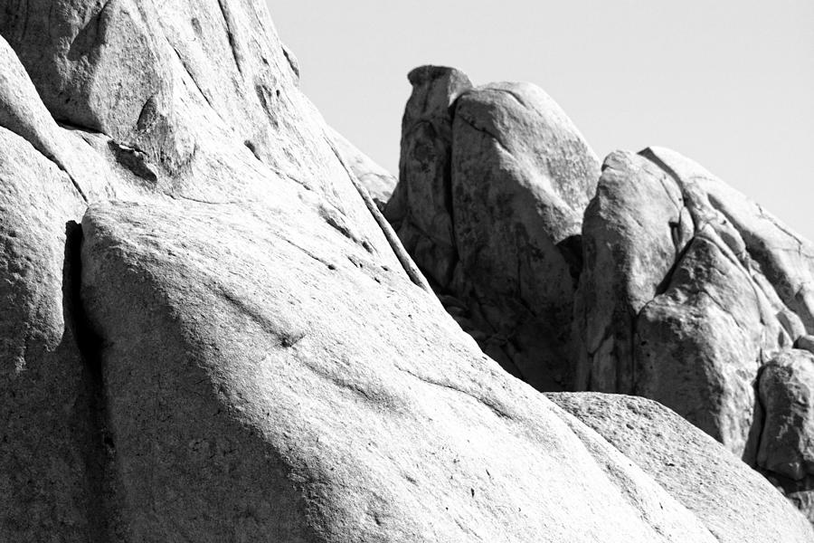 Joshua Tree National Park Photograph - Figures Within Rock by Carolina Liechtenstein