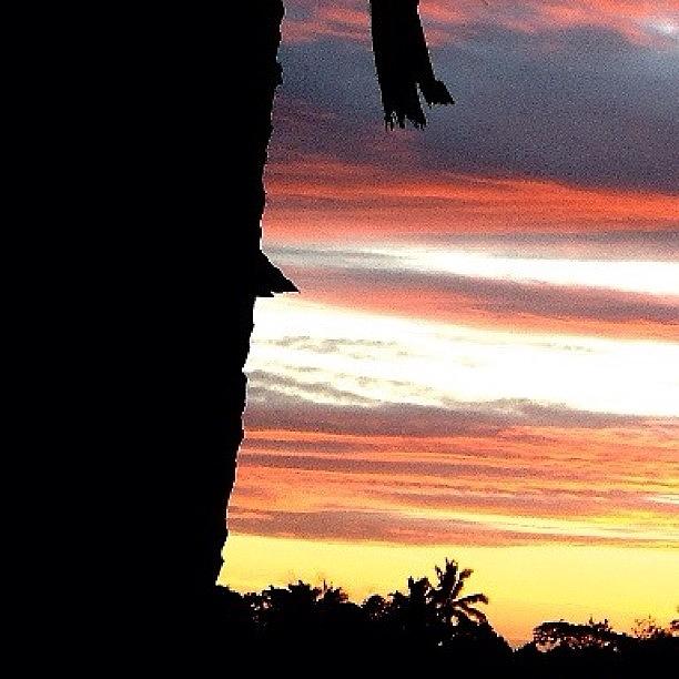 Nature Photograph - #fiji #sunset #sunrise #sun by Caseofinstagram  