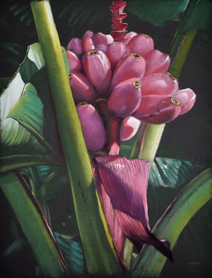 Fijian Bananas Painting by Christopher Reid
