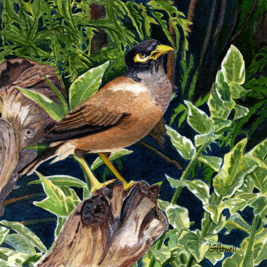 Wildlife Painting - Fijian Bird at Breakfast by Sandi Howell