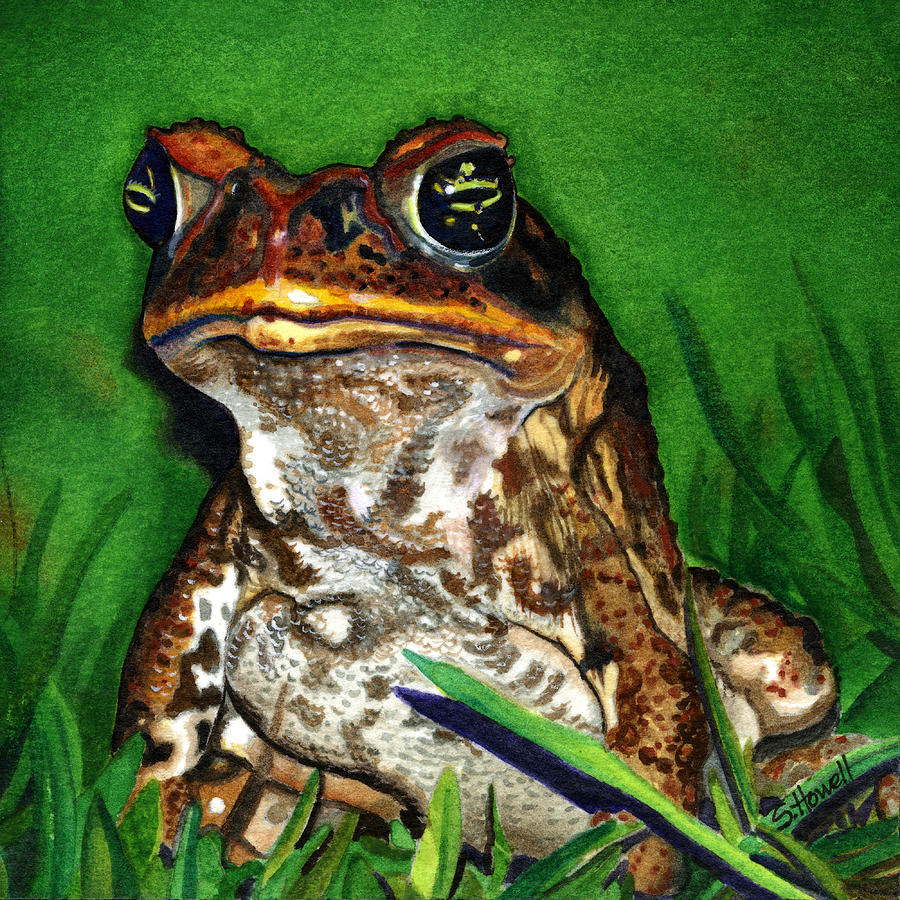 Fijian Cane Toad Sentinel Painting by Sandi Howell