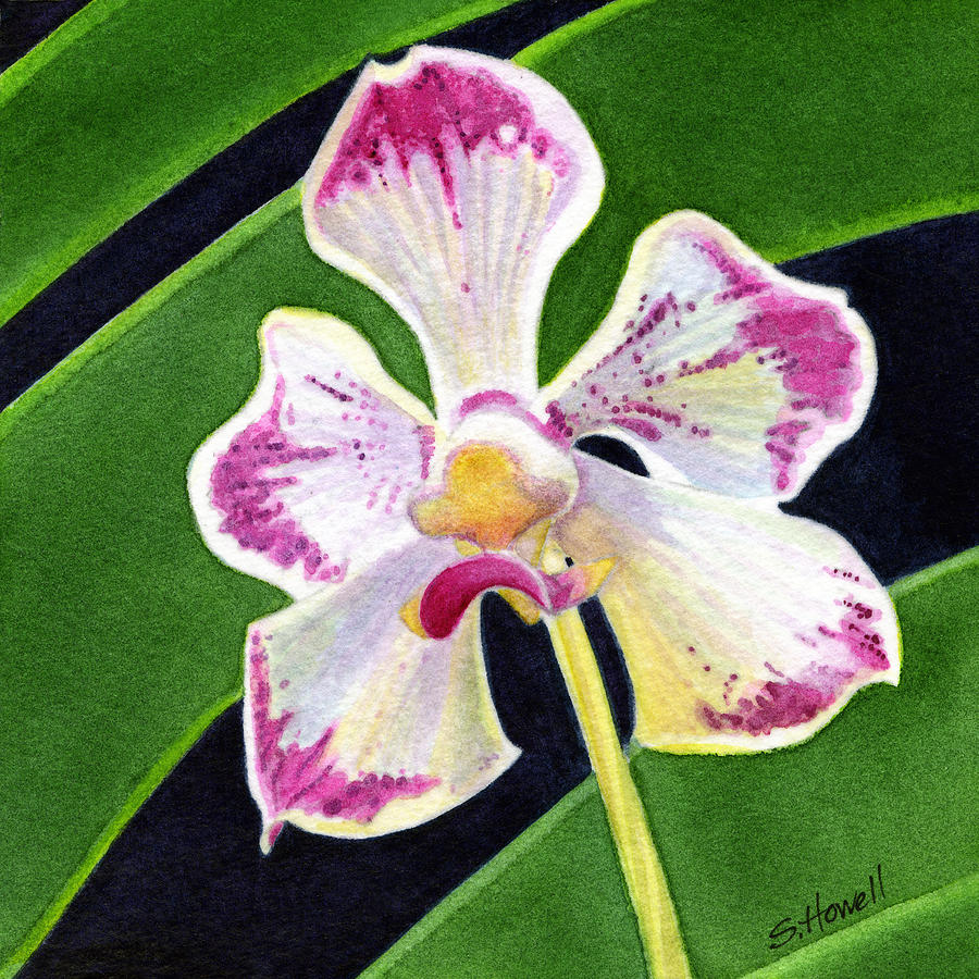 Fijian Orchid Painting by Sandi Howell