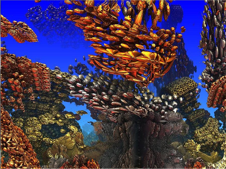 Reef Digital Art - Fijian reef by Paul Deforrest