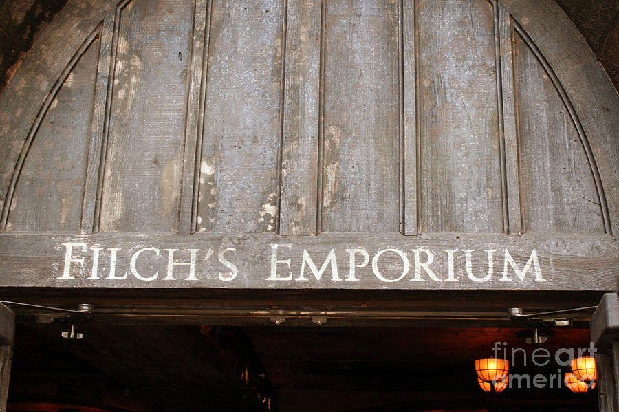 Filchs Emporium Photograph by Shelley Overton