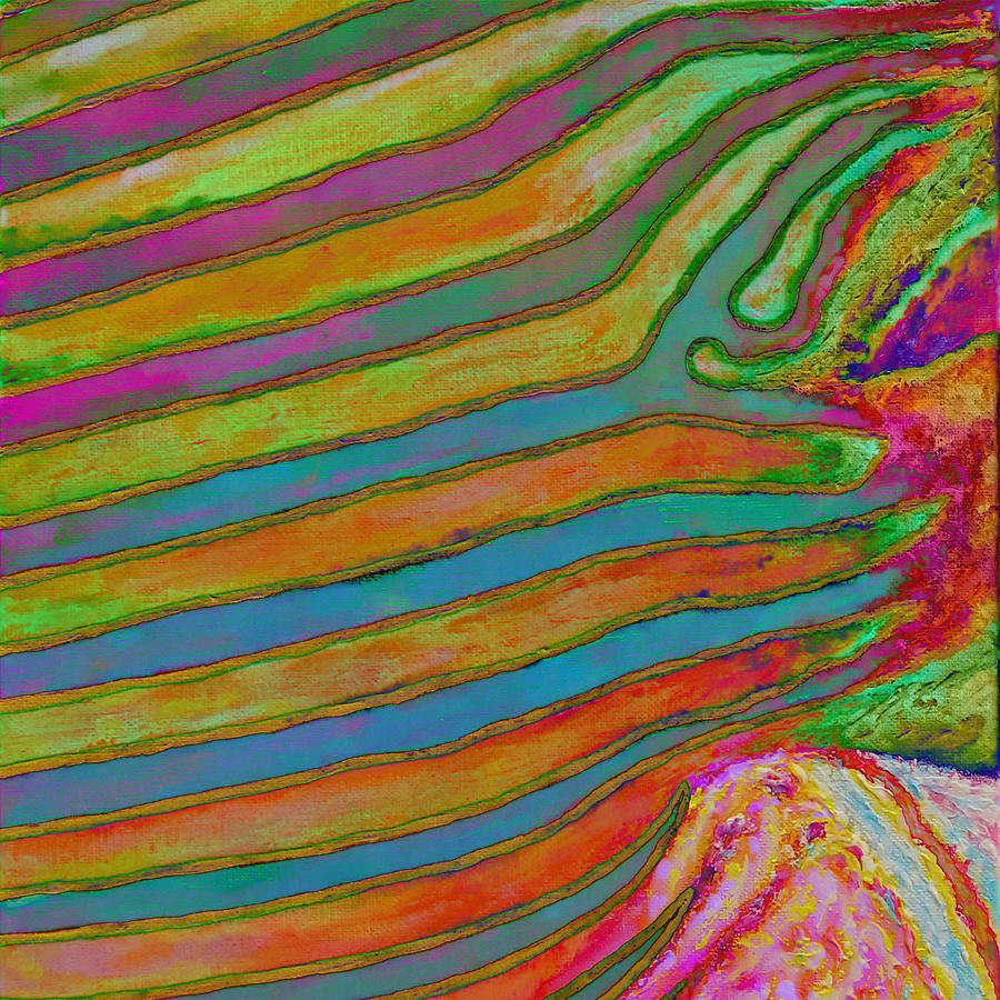 Fish Digital Art - Filet-O-Fish 02 D-right by Julie Turner