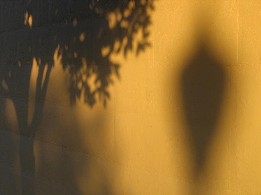 Film noir Alfred Hitchcock Shadow of a Doubt 1943 1 shadow wall Casa Grande Arizona 2004 Photograph by David Lee Guss