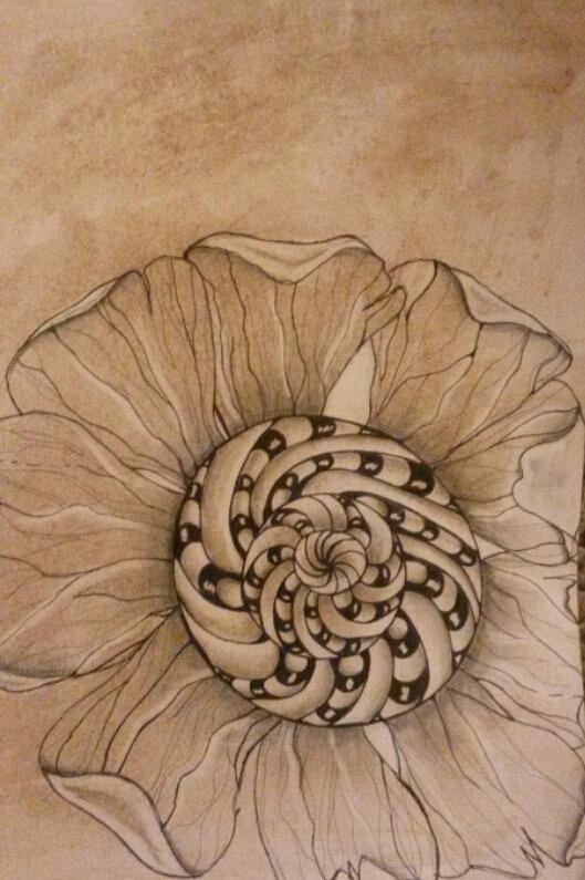 Nature Drawing - Filtered Flower by Lori Thompson