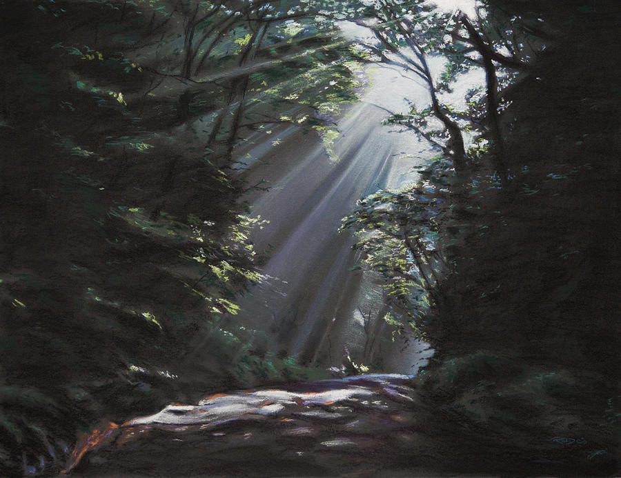 Landscape Painting - Filtered Light by Christopher Reid