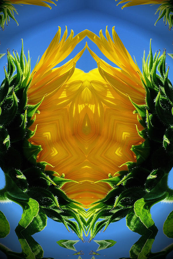 Sunflower Digital Art - Final Promise by Alias Alma