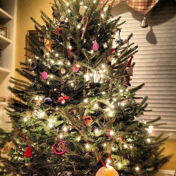 Christmas Photograph - Finally Decorated The Treee #christmas by Morgan  Trevett