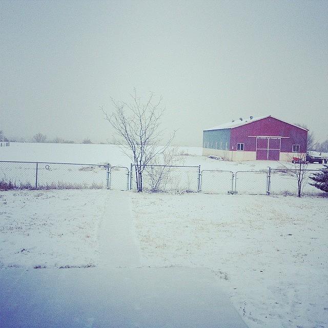 Finally Some Snow On Our Little Farm Photograph by Elizabeth Prentiss