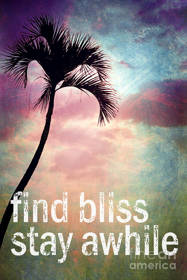 Find Bliss Stay Awhile Photograph by Sylvia Cook