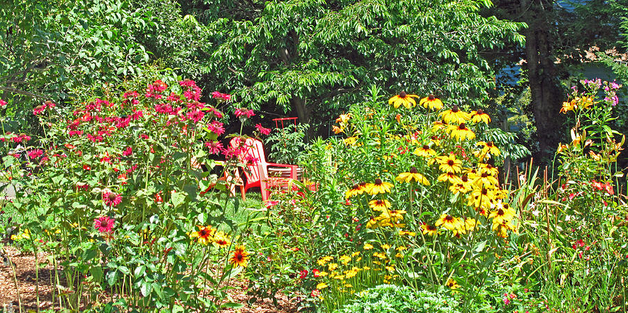 Find me in the Garden Photograph by Barbara McDevitt