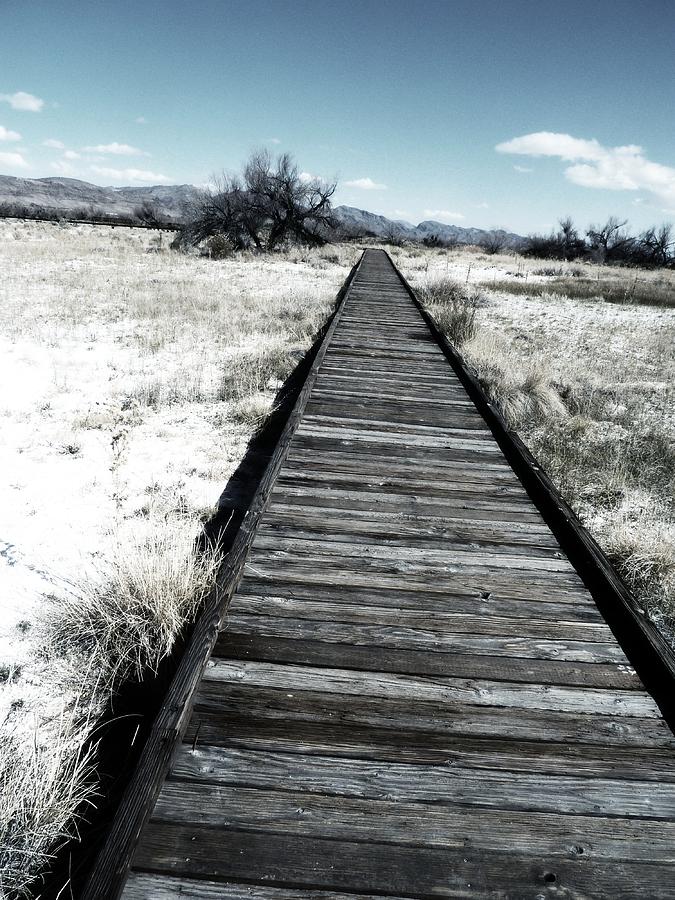 Las Vegas Photograph - Find Your Path Even in Death Valley by Carolina Liechtenstein