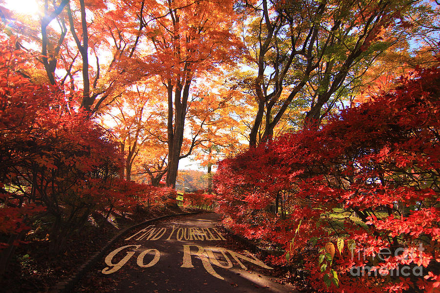 Find Yourself Go Run Autumn Leaves Fall Season Photograph by Beverly Claire Kaiya