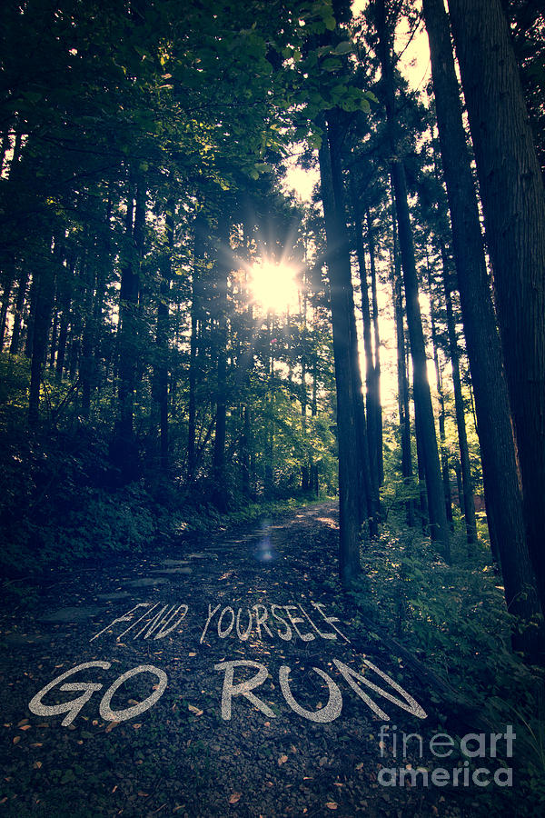 Find Yourself Go Run No. 6 - Forest with Sun Flare Photograph by Beverly Claire Kaiya