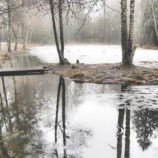 Winter Photograph - Finding Peace In The Rain by Aldona Pivoriene