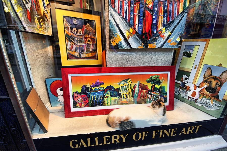 Fine Art IS The Cats MeOW Photograph by Robert McCubbin