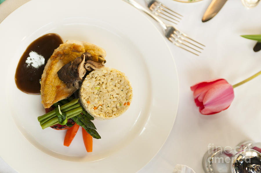 Fine dining chicken dinner. Photograph by Don Landwehrle - Pixels