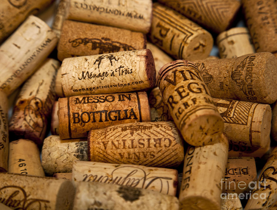 Wine Photograph - Fine Wine Corks by David Millenheft