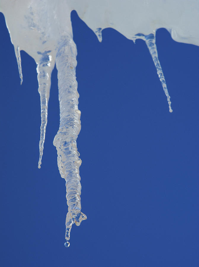 Finger Drop Icicle Photograph by Irwin Sterbakov - Fine Art America