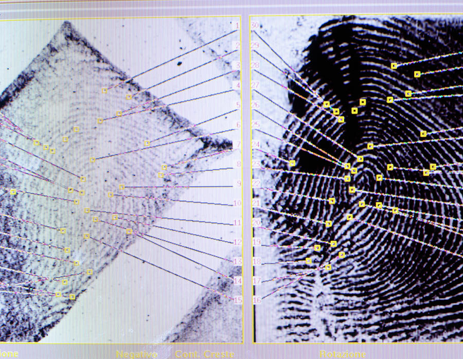 Fingerprint Analysis Photograph By Mauro Fermarielloscience Photo Library 4529