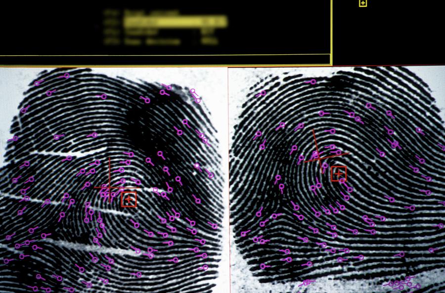 Fingerprint Analysis Photograph By Patrick Landmann/science Photo ...