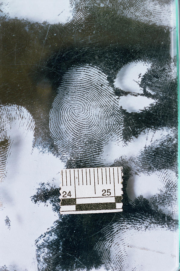 Fingerprint Analysis Photograph by Philippe Psaila/science Photo Library