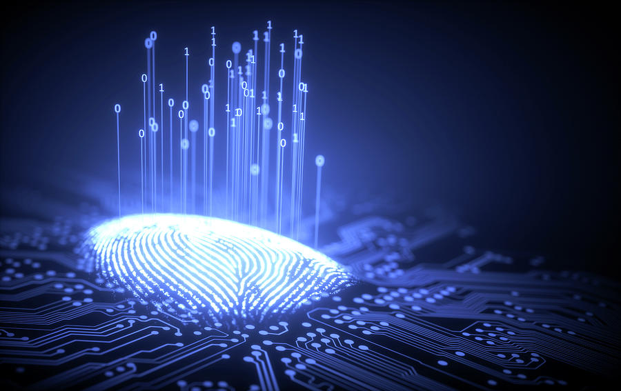 Fingerprint And Circuit Board Photograph by Ktsdesign/science Photo Library