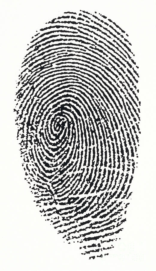 Unique Photograph - Fingerprint by Dorling Kindersley