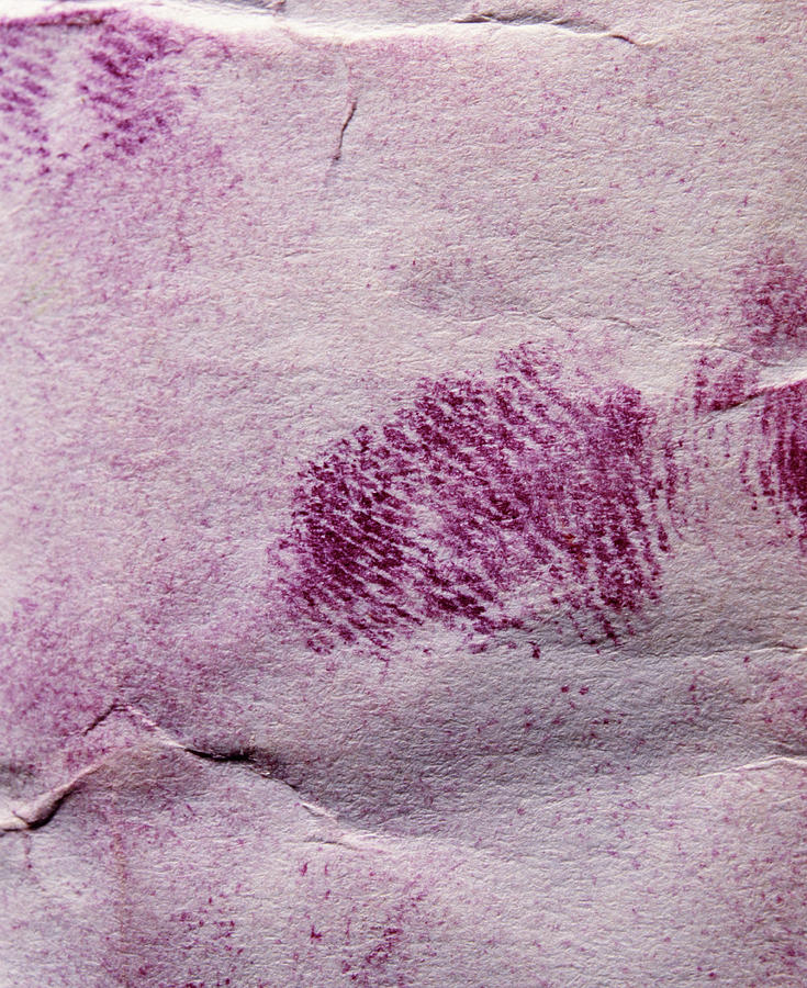 Fingerprint Photograph by Mauro Fermariello/science Photo Library