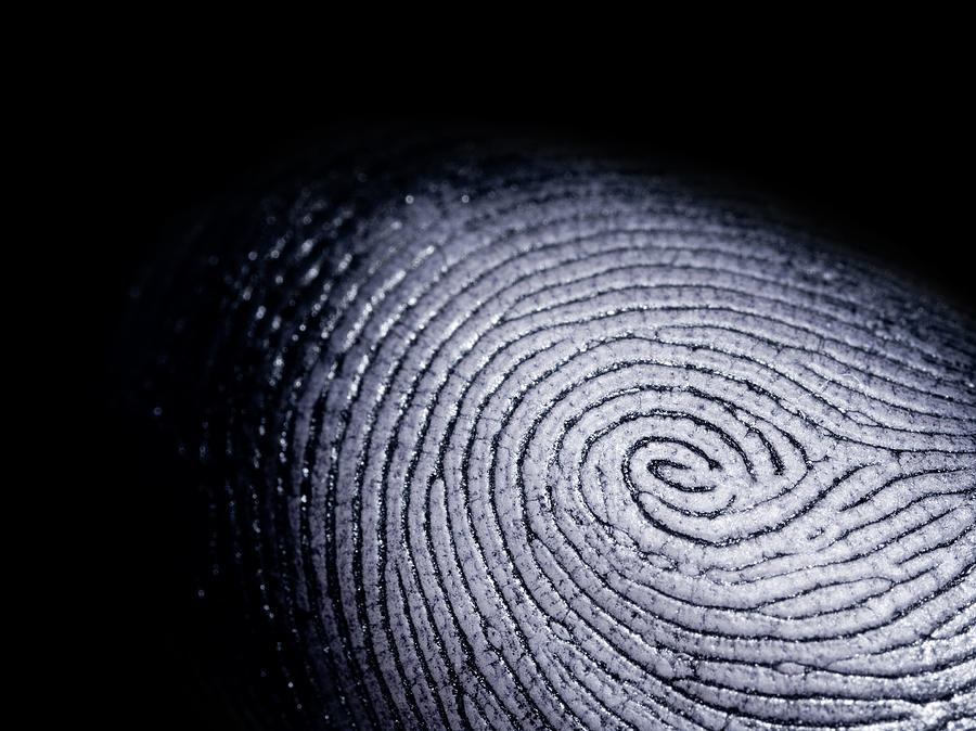 Fingerprint on Black Photograph by Homebredcorgi