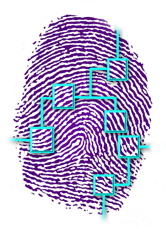 Identity Photograph - Fingerprint With Id Grid by Chris Bjornberg