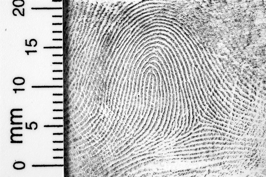 Fingerprint with ruler for measurement Photograph by Living_images