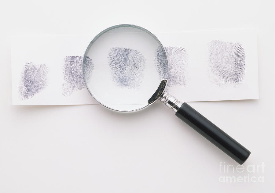 Fingerprints And Magnifying Glass Photograph by Dave King / Dorling Kindersley