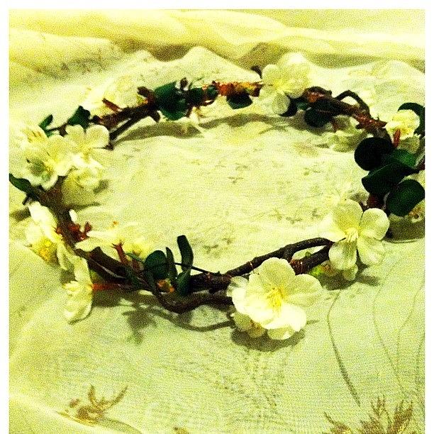 Summer Photograph - Finished My First Flower Crown! Ill by Muzic To My Ears Zoe Joy